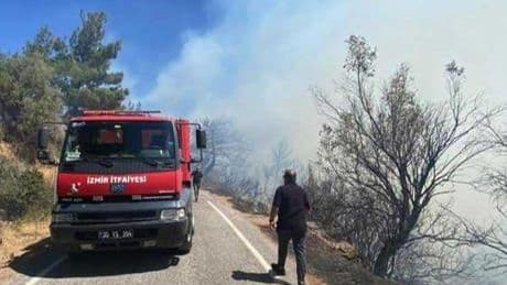 İzmir'de orman yangını! Havadan ve karadan müdahale ediliyor