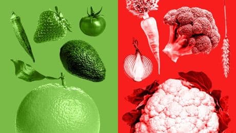 Avocados could grow in a hotter UK – but here are the crops that will suffer