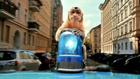 Neu im Kino: "Akiko - Der fliegende Affe" - Zauberhafter Kinder-Kinospaß