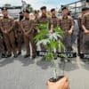 Thailand vows to tighten control on cannabis after smuggling cases involving tourists soar