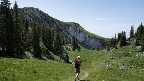 Un été à la montagne : dans le massif de la Chartreuse, des sentiers semés de trouvailles