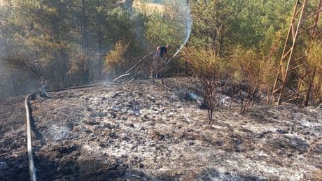 Sinop'un Gerze ilçesinde orman yangını: Müdahale sürüyor