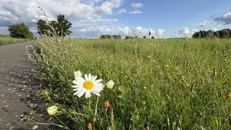 Sommerurlaub: Schlechtes Wetter fördert merkwürdiges Verhalten