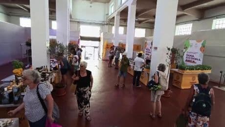 Imperia, inaugurato il nuovo mercato coperto di Albenga