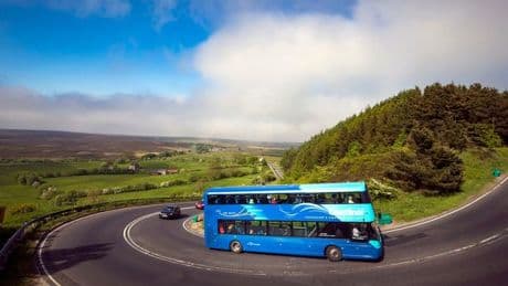 Families urged to leave cars home and use £3 bus fare cap to get to top attractions