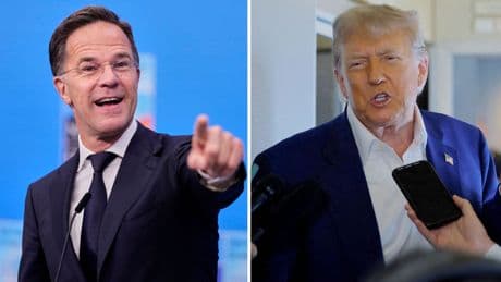 NATO chief responds after Trump casts doubt on commitment to collective defence