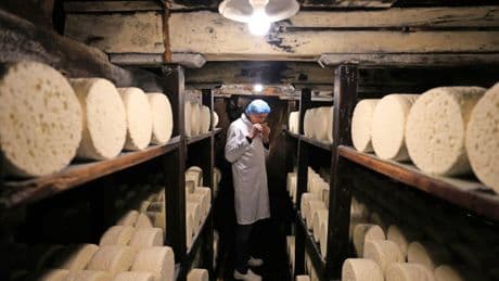 Roquefort: Der Kampf um den Erhalt eines französischen Kulturguts