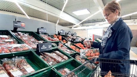 Tomaten-Preis explodiert: Beliebtes Gemüse kostet jetzt 107 Prozent mehr