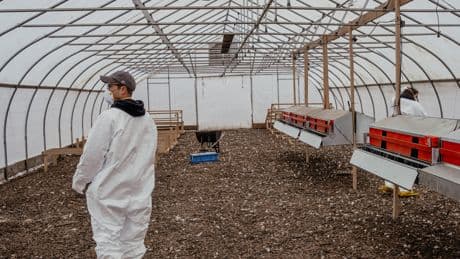 U.S. Cancels Contract With Moderna to Develop Bird Flu Vaccine