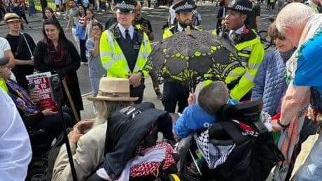 Couple in wheelchairs detained by police during Palestine Action protest in London