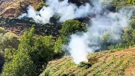 Diyarbakır'da 7 milyon 543 bin kök kenevir ve skunk ele geçirildi