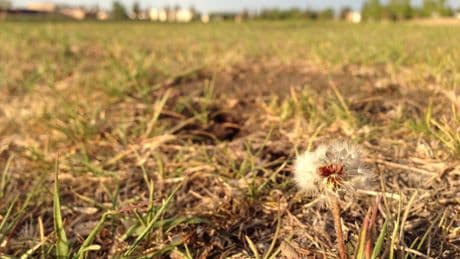B.C. provides drought update as province prepares for hot, dry weather