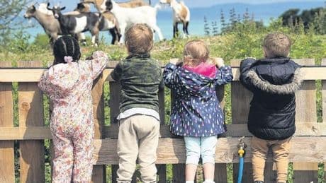 Ayrshire nursery rated one of the top 20 in Scotland