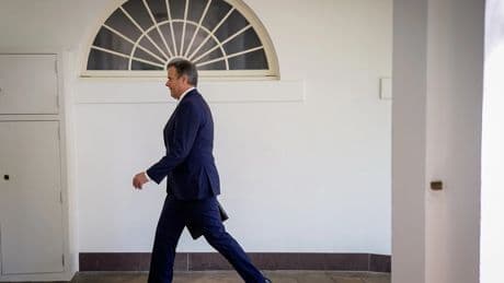When the Threat Is Inside the White House