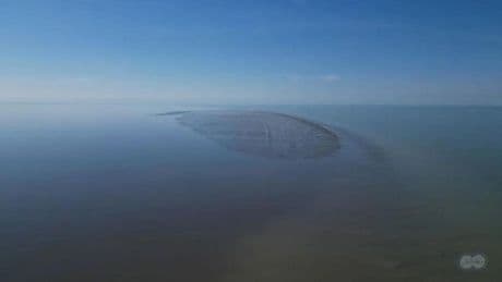 Forscher entdecken riesige Insel im größten See der Welt
