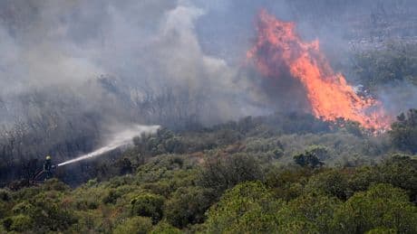 «Chaque été 2600 agents renforcent les zones littorales» : la gendarmerie en première ligne face aux feux de forêt
