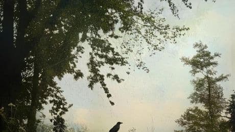 Altersdepression bei Männern: Sind Sie mit Depression im Alter konfrontiert?