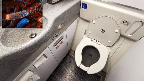 Scientists reveal the surprising reason why airplane toilet water could be the secret to combatting the next pandemic