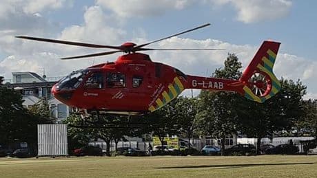 Chalkwell Park tree crushes girl, 7, to death with second child 'critical'
