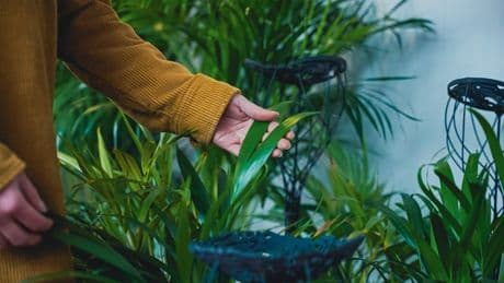 World’s ‘first ever’ photoshoot powered by NATURE using remarkable technique – and it could be used for home appliances next