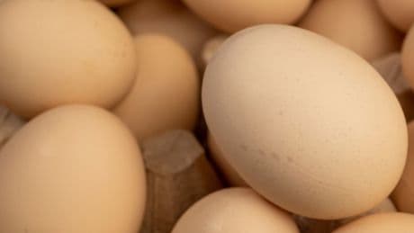 Yumurta ihracatında fon kesintisi kaldırıldı