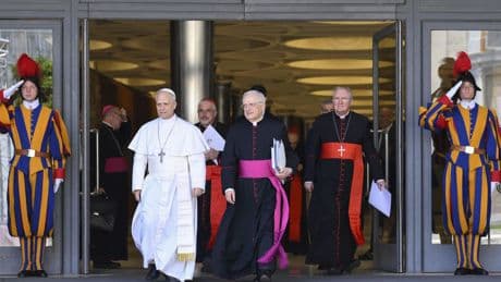Pope Leo XIV lays out his vision and identifies AI as a main challenge for humanity