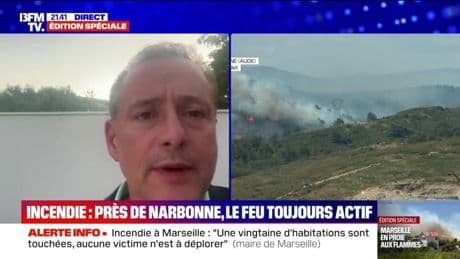 L'incendie à Narbonne, dans l'Aude, a brûlé "plus de 1.800 hectares" et "un peu plus de 300 pompiers mobilisés", assure le maire