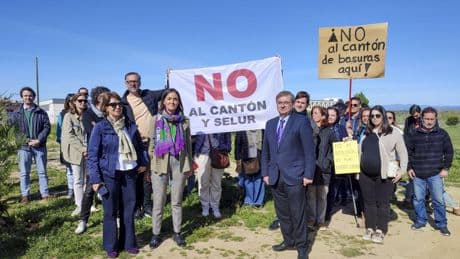 Vecinos de Montecarmelo denuncian la tala de 146 árboles para construir un cantón de limpieza