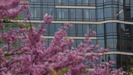Law Firms Fighting Back Against Trump Report Security Clearance Suspensions
