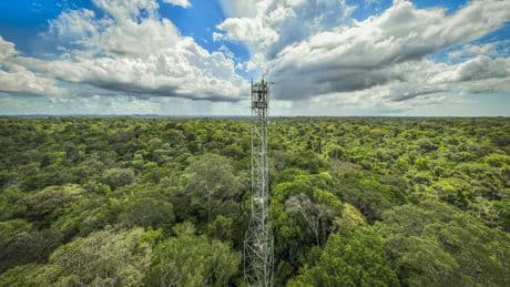 « Il est clair que nous ne serons pas épargnés » : comment s’assurer que la Guyane reste vivable en 2100
