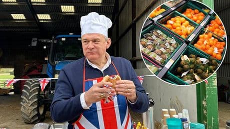 Supermarkets are NOT profiteering and Sir Ed Davey was wrong to 'cajole' watchdog - but food prices will keep rising, says City broker