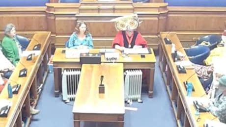Nature campaigners in animal costumes take over council session for ‘inter-species democracy meeting’