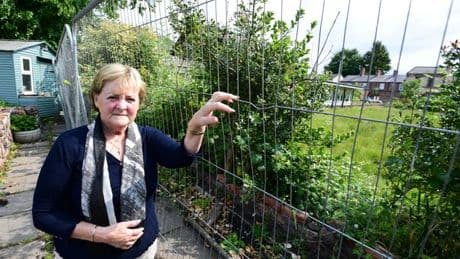 Widow returned home and 'couldn't believe' what she saw in her garden