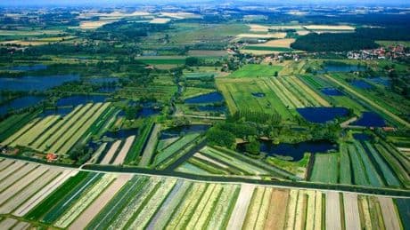 Damien Cariou, agronome : « La souveraineté alimentaire passe par la transition agroécologique, tant le modèle intensif est à bout de souffle »