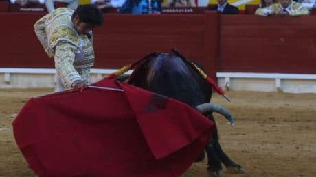 Cayetano Rivera regresa a los ruedos, superado el 'shock' que le produjo su detención por la Policía