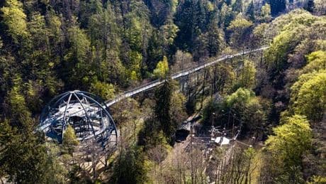 Neue Attraktionen geplant: Baumwipfelpfad im Harz will Angebot weiter ausbauen