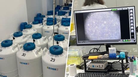 Hay un sitio en Granada con más de 50.000 muestras de semen. Hemos estado allí