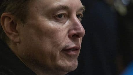 Musk wirbt für die AfD – und warnt vor dem „Ende Deutschlands“