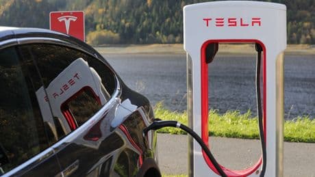 Çin'de Tesla'nın satışları 7 aydır düşüyor