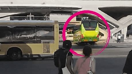 Lissabon: Flixbus gerät außer Kontrolle und kracht in Geschäft