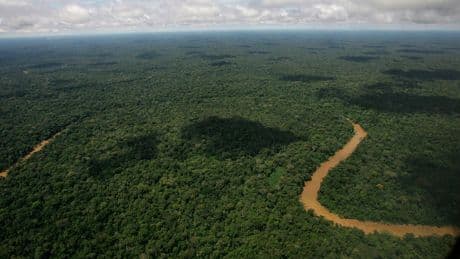 In Ecuador, environmentalists worry Noboa is unwinding nation's green reputation