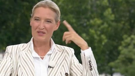 „Ich kann Sie kaum verstehen“ - Demonstranten crashen Weidel-Interview