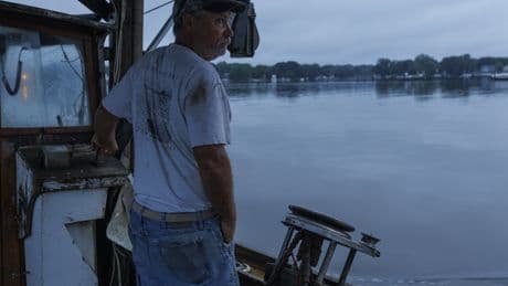 Chesapeake Bay is on a rebound, but Trump's proposed budget could set it back