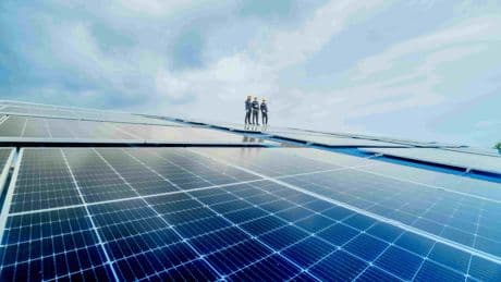 La fotovoltaica de Telefónica y Repsol redujo ingresos y siguió en pérdidas en 2024