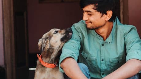 Shocking number of pet owners would date AI versions of their animals, study reveals