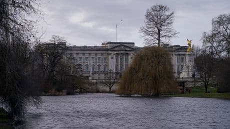 Giant lily pads, a bronze tree among ideas for Queen Elizabeth II's memorial