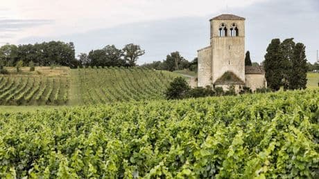 Cahors, les nouveaux habits du malbec