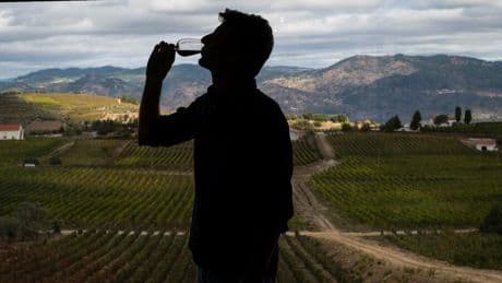 Wein : Kein Alkohol ist auch keine Lösung? Wie die zunehmende Abstinenz das Geschäft der Winzer bedroht