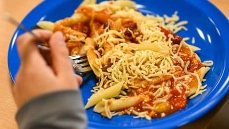 Essen in der Schule: Weder Fisch noch Fleisch