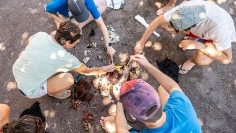 Pollution plastique : sur les plages, la Surfrider Foundation radiographie les déchets